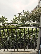 �͹� 47 ���ҧ����