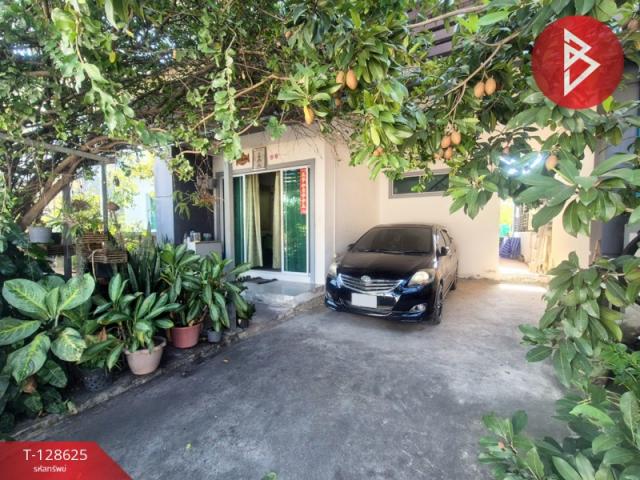 ��º�ҹ �ҧ�С����ԧ���