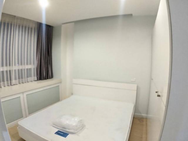 คอนโด79 29 คอนโด79 29