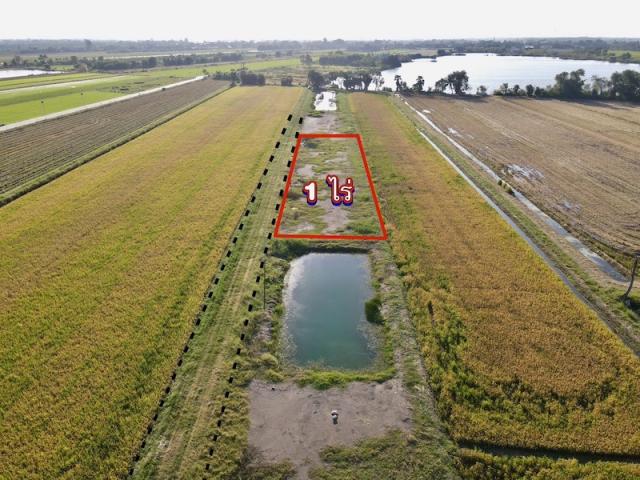 ���Թ ��դ���͹