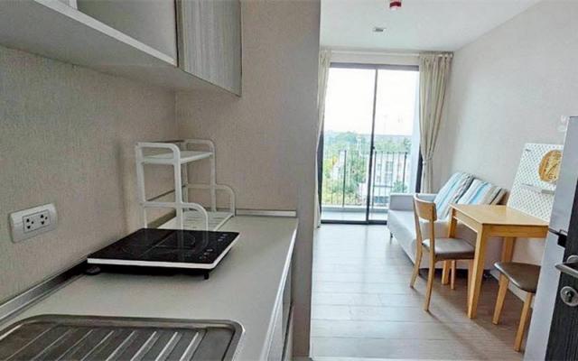 �͹������� ���ͧ������չ������