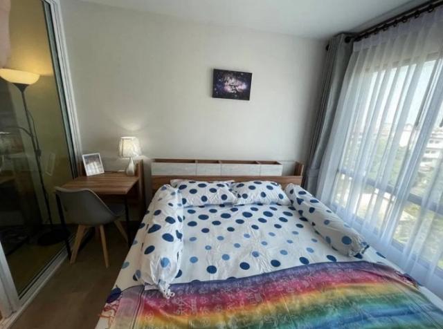 �͹� ����������