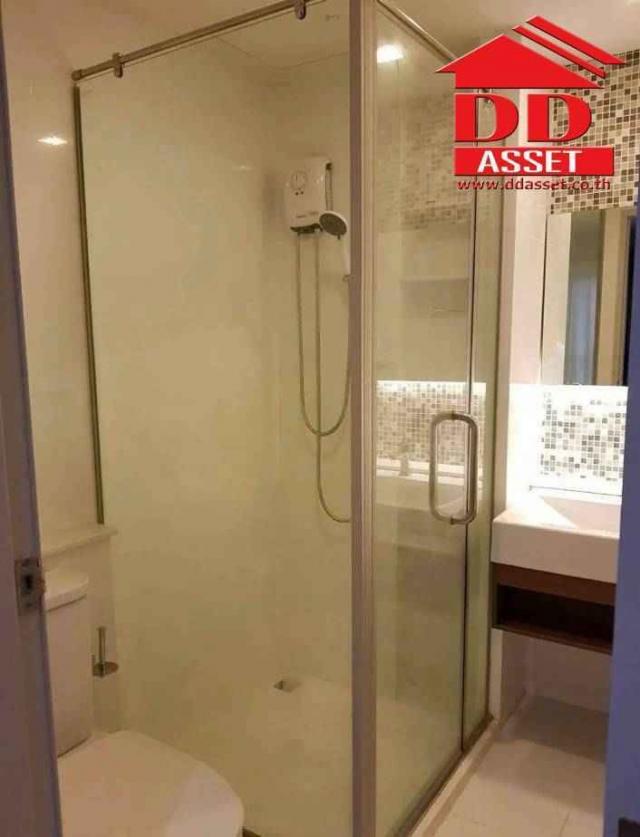 ��¤͹� �ҧ��