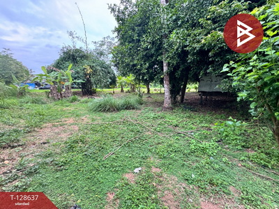 ���ͧ �� The Best Property Agent