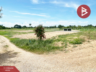 ��û�� �� The Best Property Agent