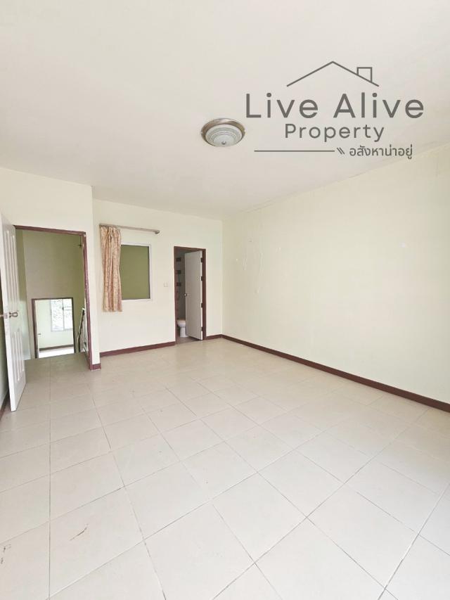 ��·�ǹ���� ������