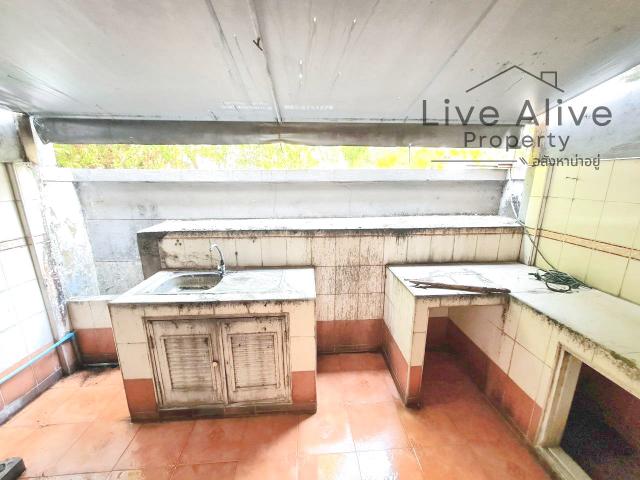 ��·�ǹ���� ������