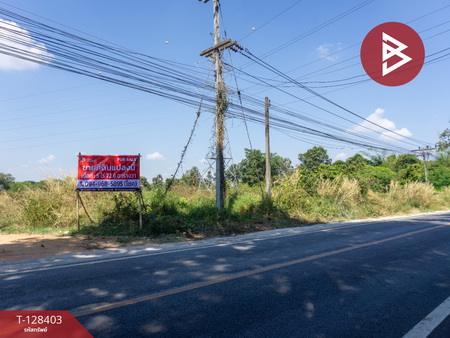 ��·��Թ ���ͧ�͹�蹢͹��