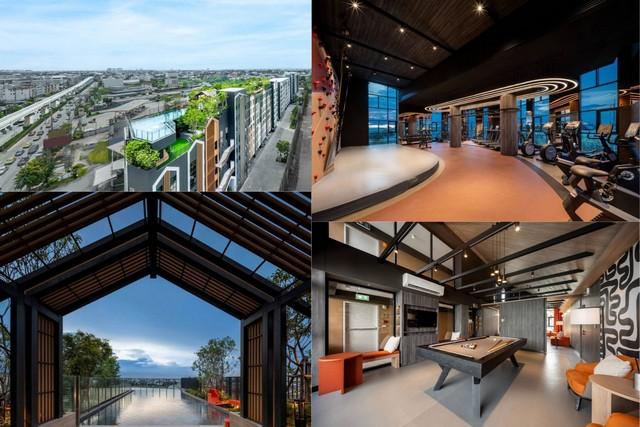 �͹������� �ҧࢹ