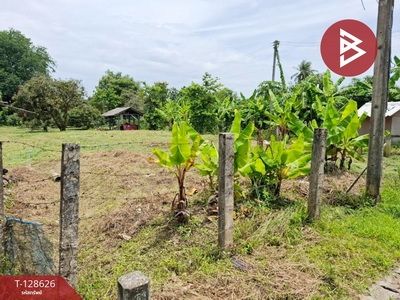 ���Թ ��§���