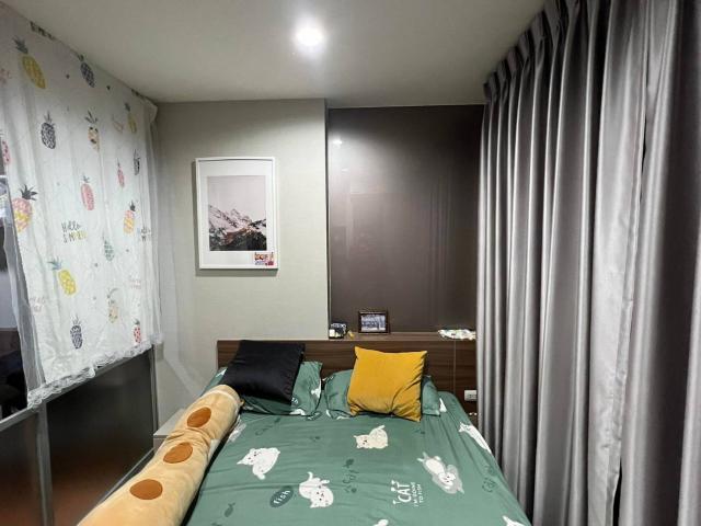 �͹� �ҧ���