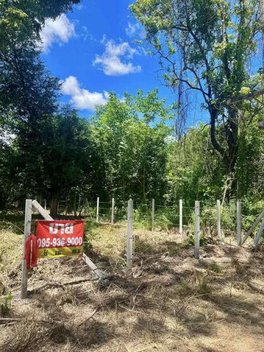 ��·��Թ ����Ҫ����