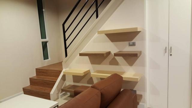 �͹������������� �ҧ�� ��ا෾