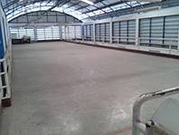 ⡴ѧ������ �ҧ��