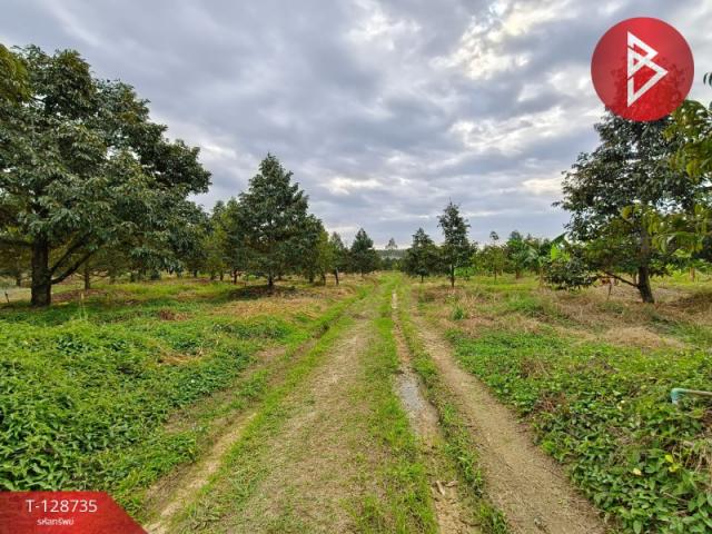 ��·��Թ �ҤԪ��ٯ�ѹ�����