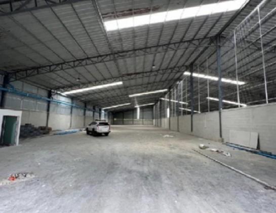 ��ѧ�Թ��������� �ҧ���¹������