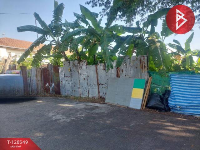 ���Թ �չ����