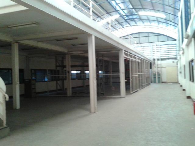 ⡴ѧ������ �ҧ��