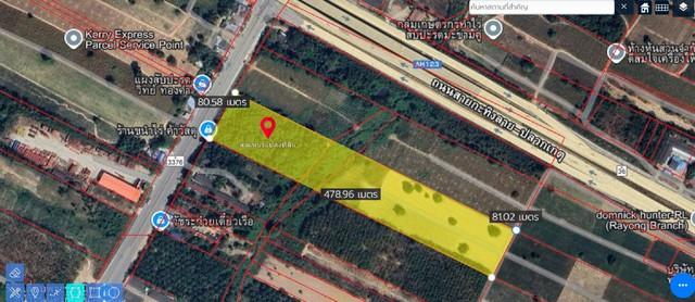 ���Թ�Ԥ��Ѳ�� ���ͧ