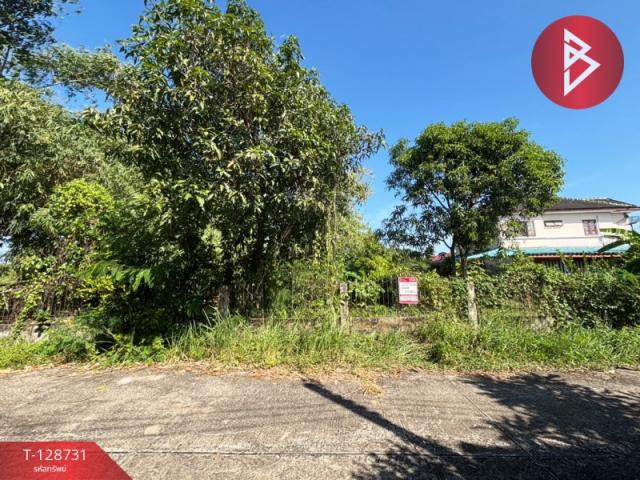 ��·��Թ ˹ͧ�͡��ا෾