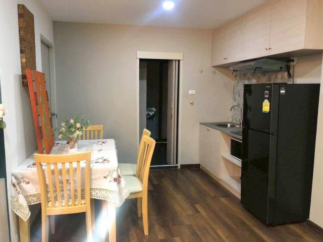 �͹ⴾ����������� ��§����