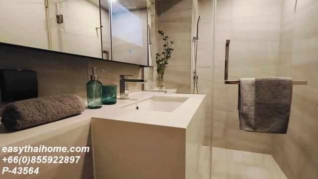 �͹������� �ҧ�ѡ