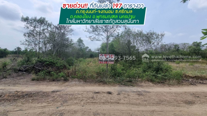 ��¹�û�� �� lovethaihome101