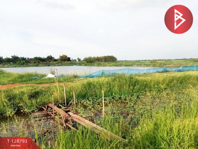 ���Թ 7 ���