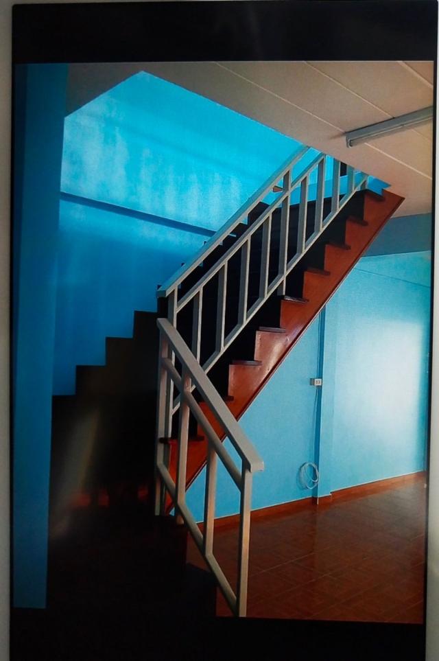 ��º�ҹ �ҧ�͹��ا෾