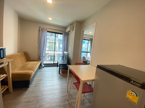 ��¤͹� �ҧ���¹������