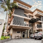 ;�����鹷��;ѡ