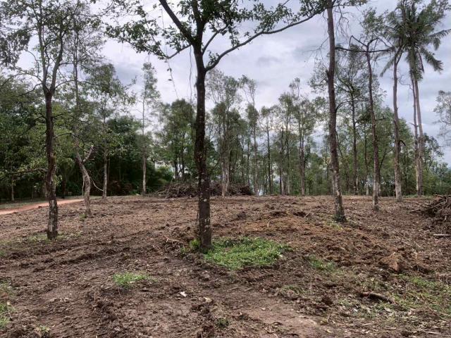 ��·��Թ ���ͧ���� ����