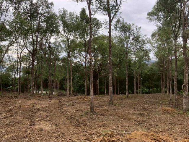 ���Թ ���� ����ç���