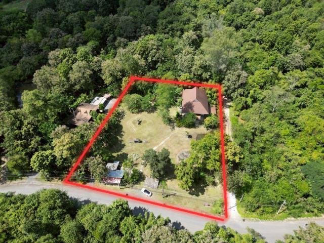 ���Թ �� ��� 552 ���ҧ��