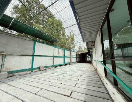 �ç�ҹ������ ���ͧ��ط��Ҥ� ��ط��Ҥ�