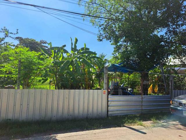 ��·��Թ �Ⱥ�Ź�ù�����չ������