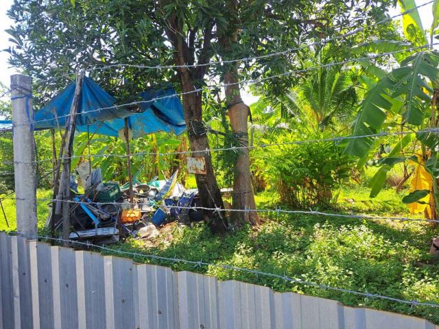 ��·��Թ �Ⱥ�Ź�ù�����չ������