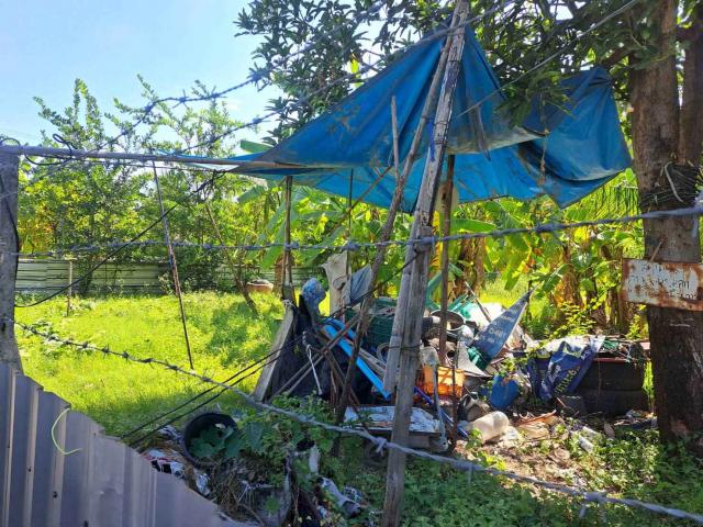 ��·��Թ �Ⱥ�Ź�ù�����չ������