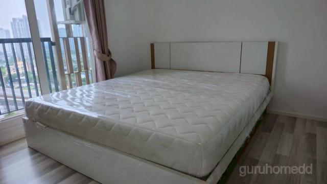 ��¤͹� ������ ����ͧ ��ا෾