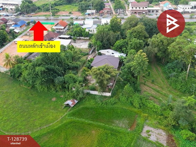 ��º�ҹ ���ͧ��ҹ��ҹ