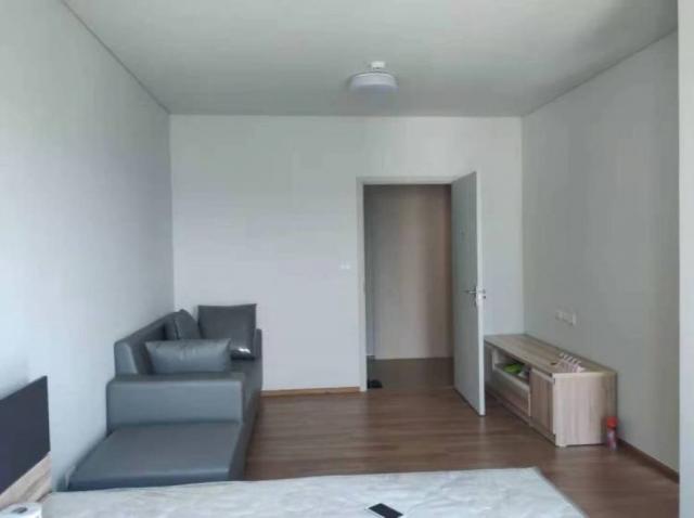 �͹����ͧ��طû�ҡ�� ��طû�ҡ��