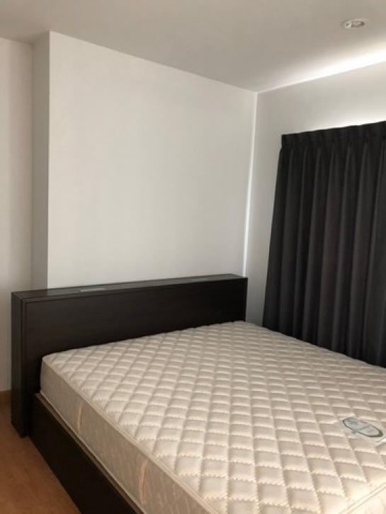 �͹������� �ҧ�