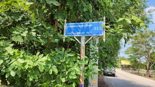 ที่ดิน ทิศใต้ ที่ดิน ทิศใต้