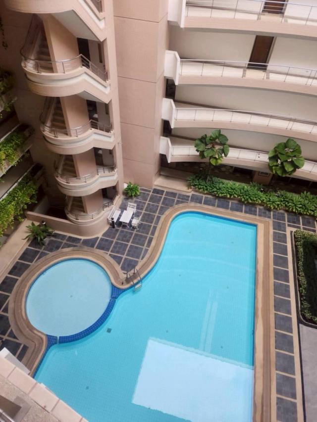 �͹� ⫹�����ѹ - ���Ե