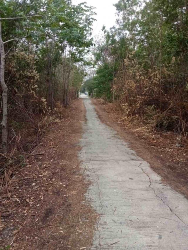 ���Թ ��оط��ҷ ��к���