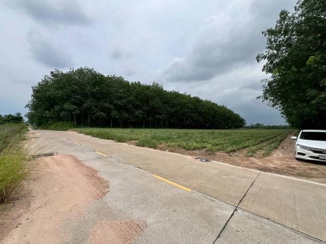 ����Ҫ� �� sopa