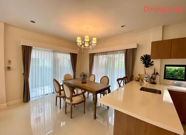 ��ҹ������ ������