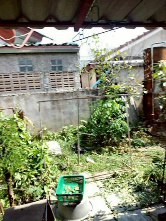 ��º�ҹ ���ͧ��§������§����