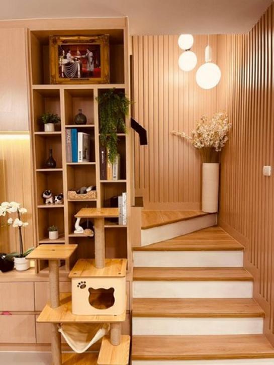 ��ҹ������ �ǹ��ǧ��ا෾