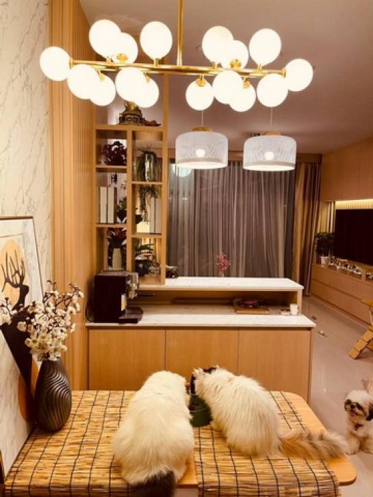 ��ҹ������ �ǹ��ǧ��ا෾